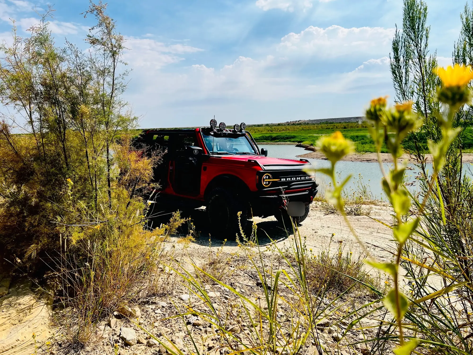 Il Bronco fra i fiori selvatici, in riva all'acqua