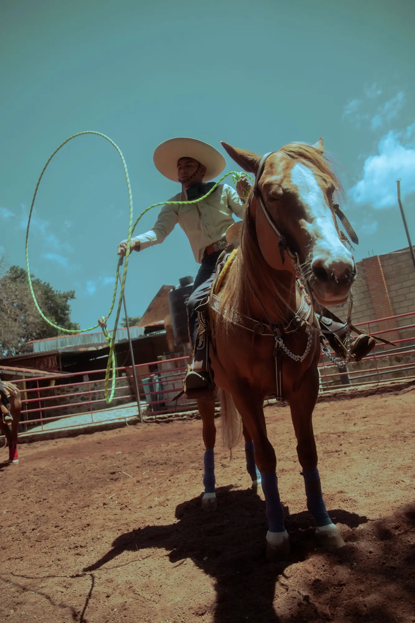 Il ranch