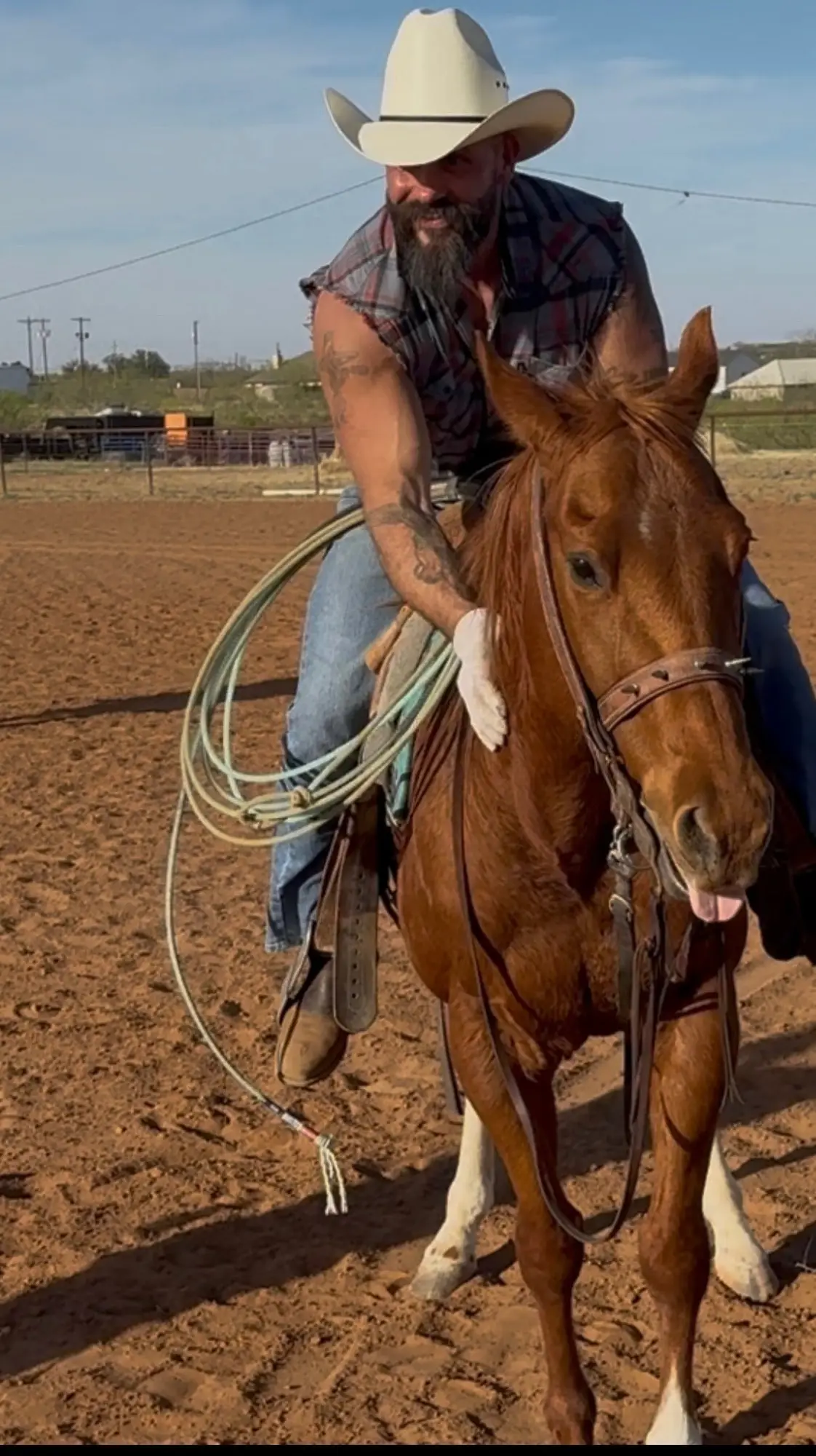 Un cavallo sellato con il lazo arrotolato, nell'arena del ranch